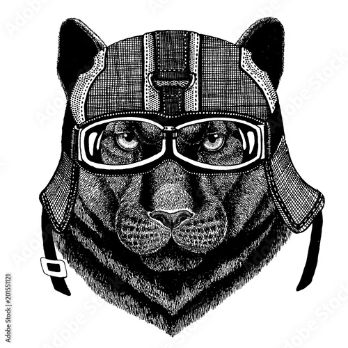 Black panther Hipster animal wearing motorycle helmet. Image for kindergarten children clothing, kids. T-shirt, tattoo, emblem, badge, logo, patch