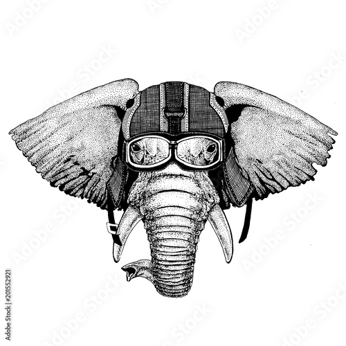 Elephant, indian or african elephant Hipster animal wearing motorycle helmet. Image for kindergarten children clothing, kids. T-shirt, tattoo, emblem, badge, logo, patch