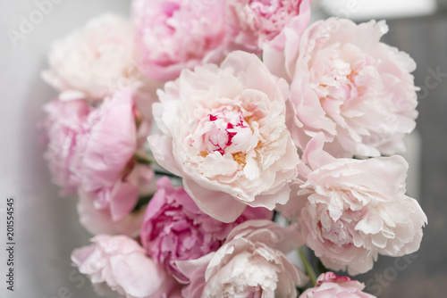 Cute and lovely peony. many layered petals. Bunch pale pink peonies flowers light gray background. Wallpaper, Vertical photo © malkovkosta