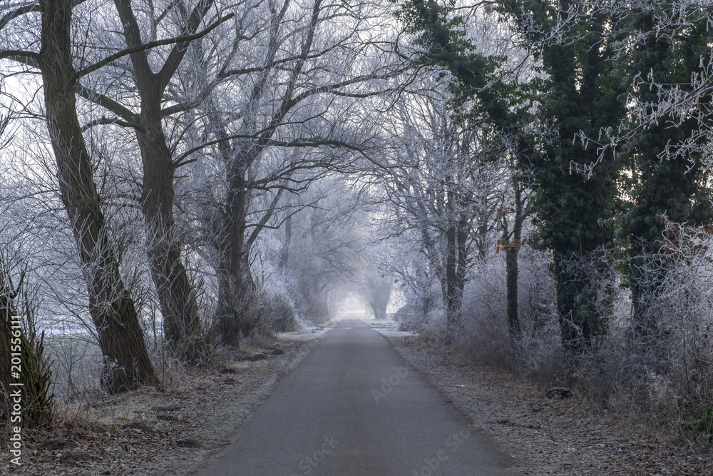 Winter Winter