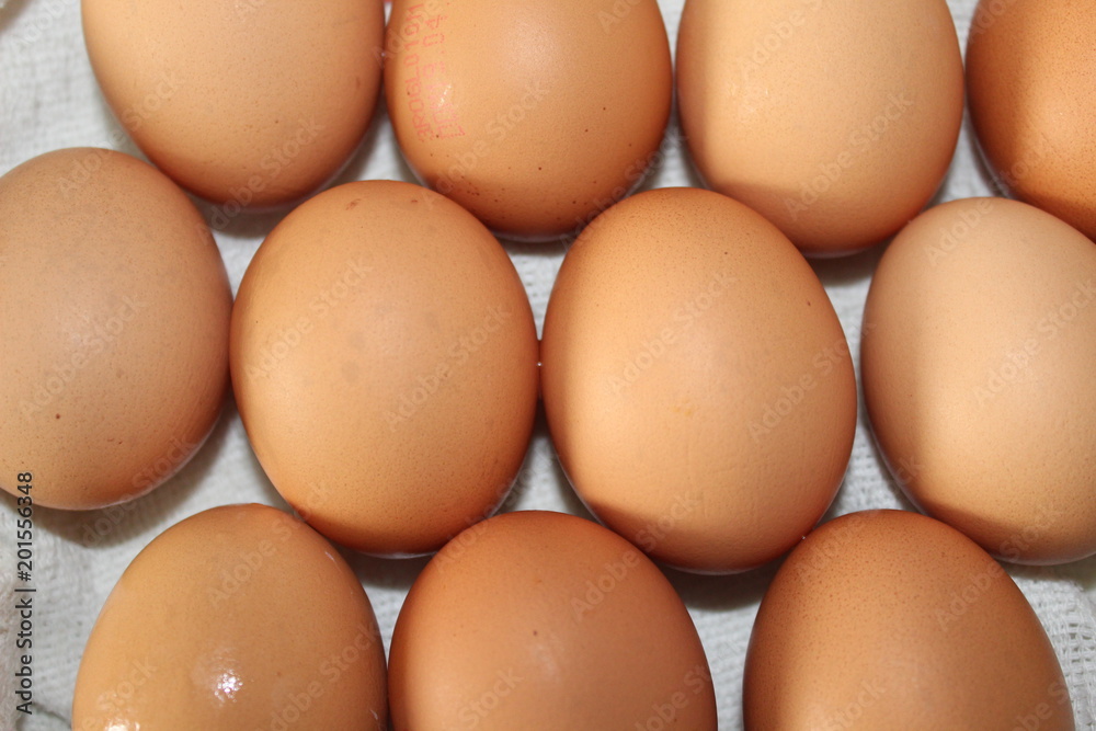 A number of eggs isolated on white