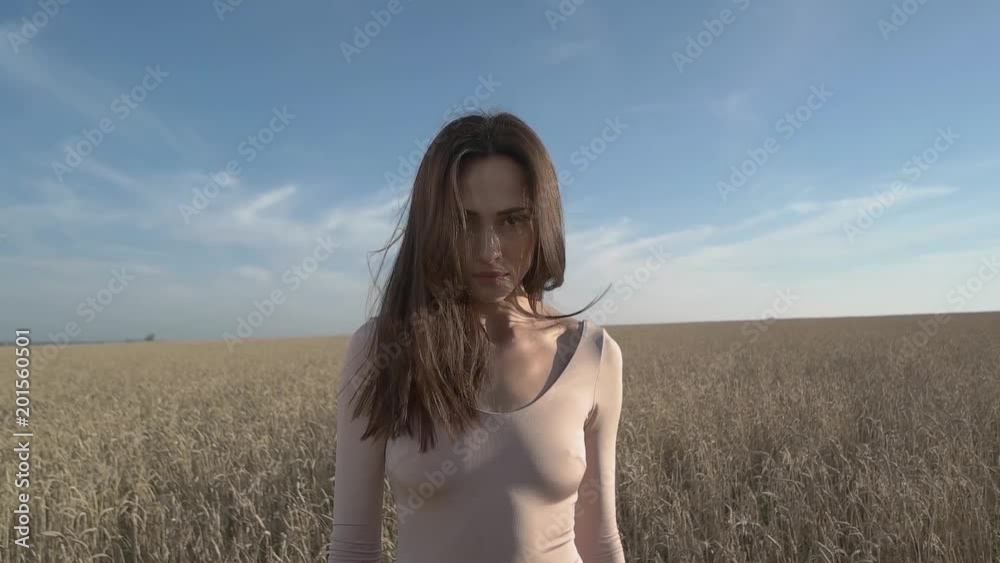 a young beautiful woman walks looking in camera, in a golden field of wheat at sunset, slow motion. a young beautiful woman walks looking in camera, in a golden field of wheat at sunset, slow motion.