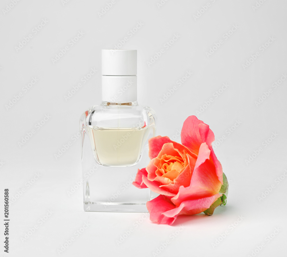 Transparent bottle of perfume with beautiful rose on white background Transparent bottle of perfume with beautiful rose on white background