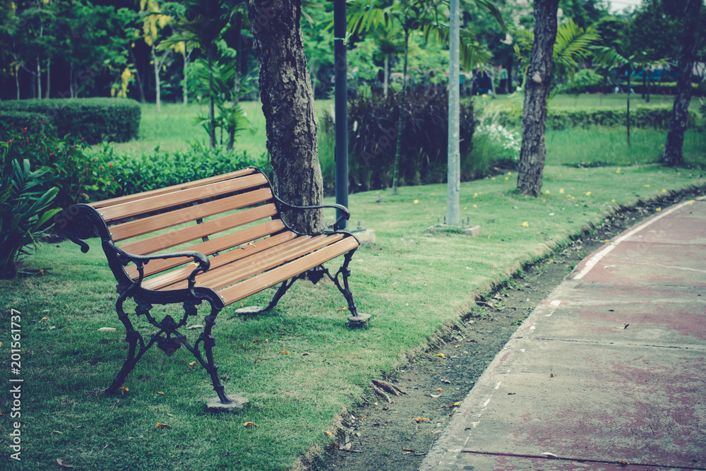 Wooden bench and a path in the park. Wooden bench and a path in the park.