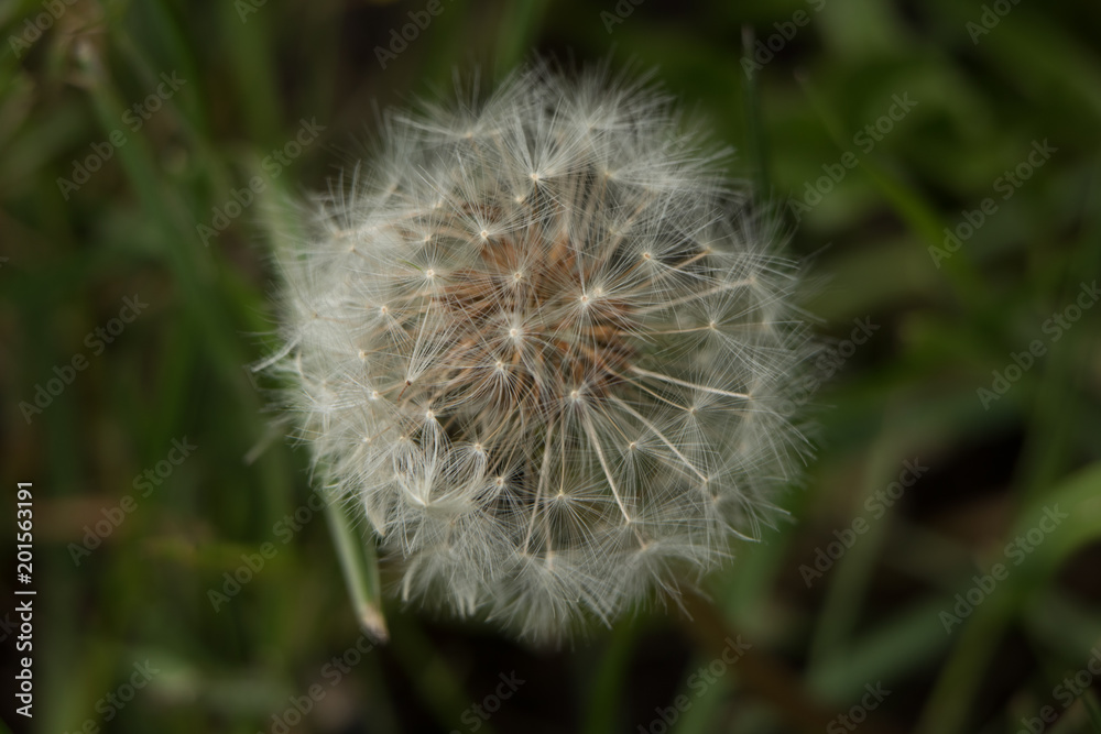 Obraz premium set 03