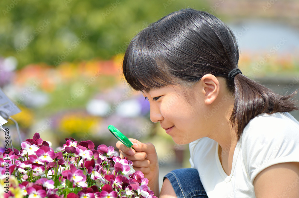 虫めがねで花を観察する女の子 虫めがねで花を観察する女の子