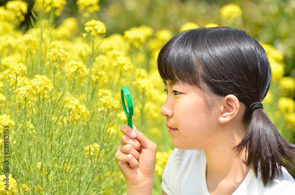 虫めがねで花を観察する女の子 虫めがねで花を観察する女の子