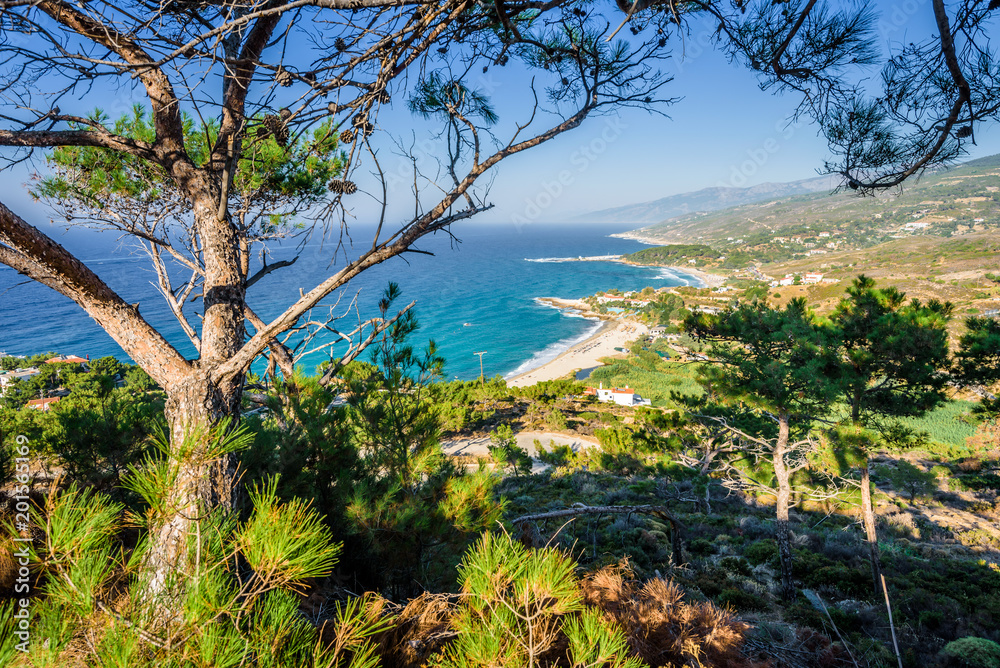 Sunny beautiful summer beach coast view to the greek blue sea white pure sand perfect for holiday relaxing swimming playing , Ikaria Island, Livadhi Beach, Messakti Beach, Armenistis , Sporades,Greece