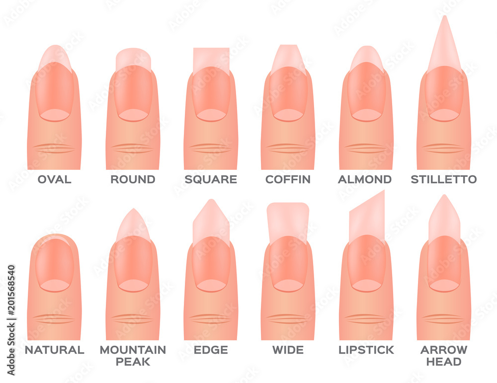 Premium Vector | Set of different types of fingernail shapes isolated on  white background flat vector illustration