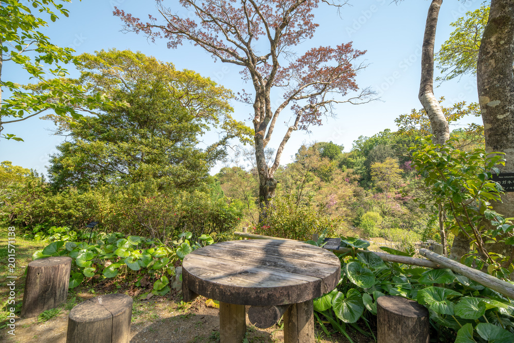 公園 公園