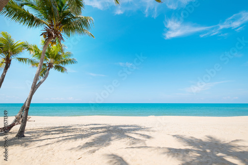 Landscape of coconut palm tree on tropical beach in summer. Summer background concept.