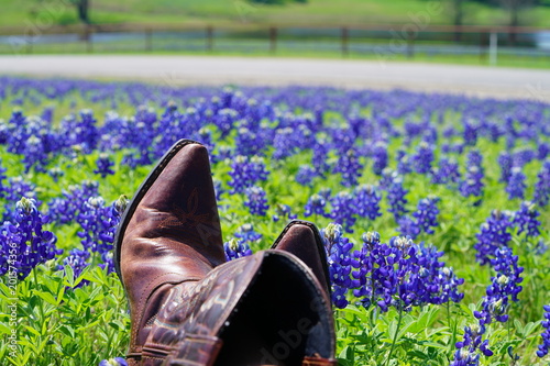 Countryside view of Bluebonnet Trails in North Texas