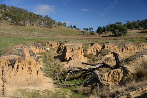Quadro su tela Erosion gully in farmland