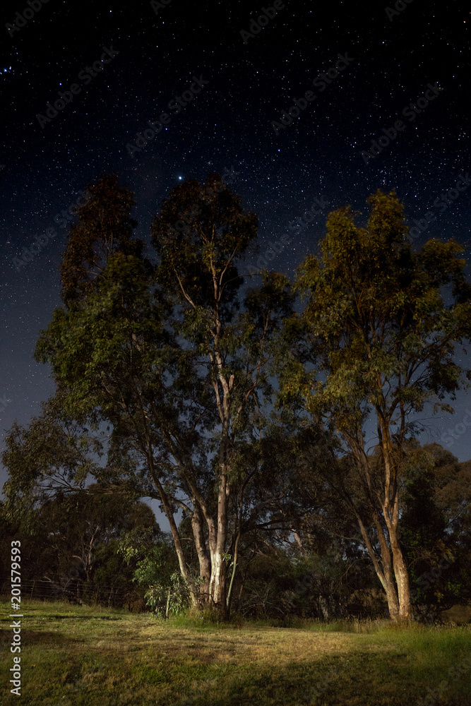 Clear night under the stars in the countryside in Australia Clear night under the stars in the countryside in Australia