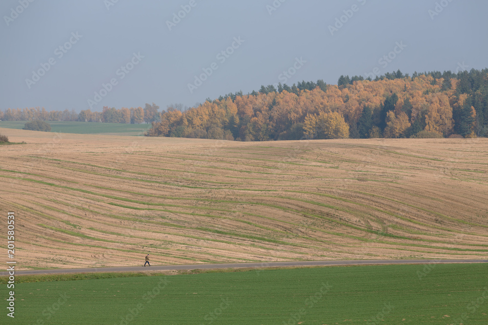Obraz premium autumn landscape