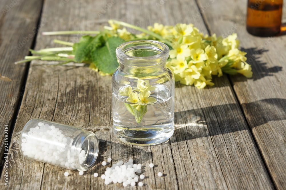 Schlüsselblume, Homöopathie, Heilkräuter Tinktur Schlüsselblume, Homöopathie, Heilkräuter Tinktur