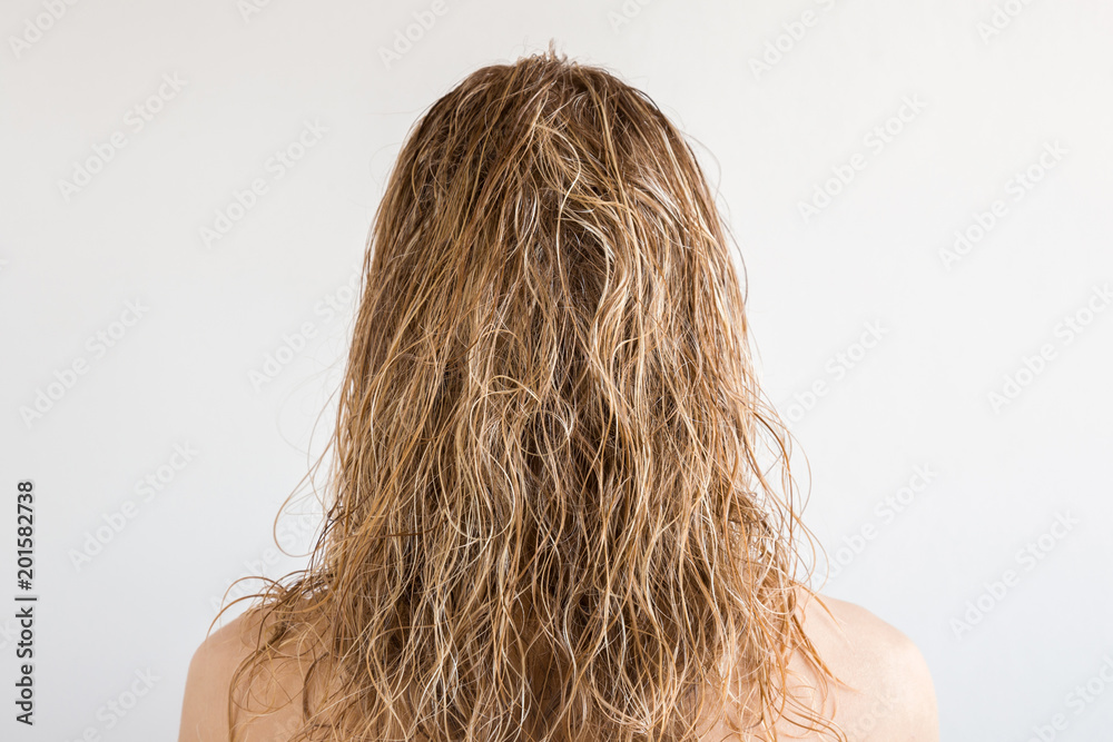 Wet, blonde, messy woman's hair after shower on the gray background. Care  about beautiful, healthy and clean hair. Beauty salon concept. Young girl's  back view. Stock Photo | Adobe Stock