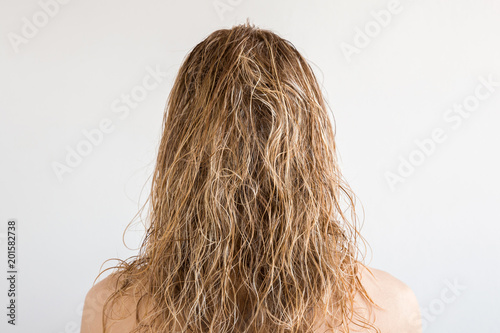 Wet, blonde, messy woman's hair after shower on the gray background. Care about beautiful, healthy and clean hair. Beauty salon concept. Young girl's back view.