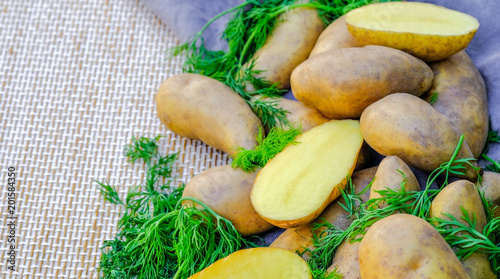 Fresh potatoes and dill background