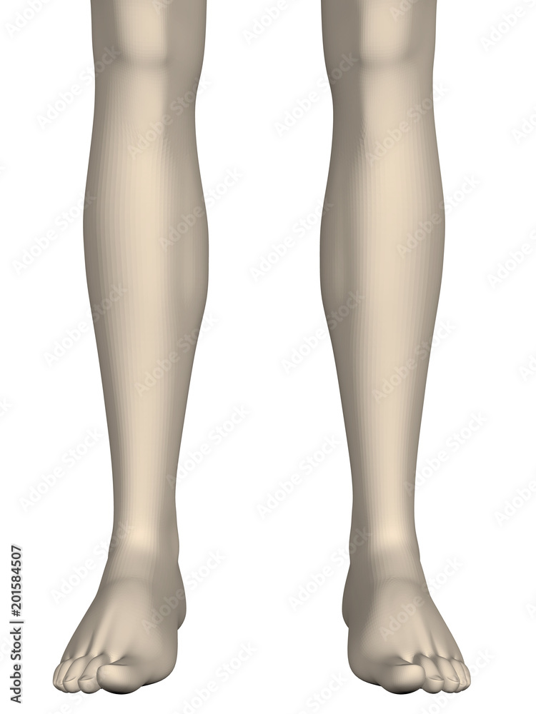 Legs of a girl Legs of a girl