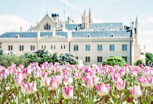 Majestic Lednice castle with flowering tulips, beauty filter