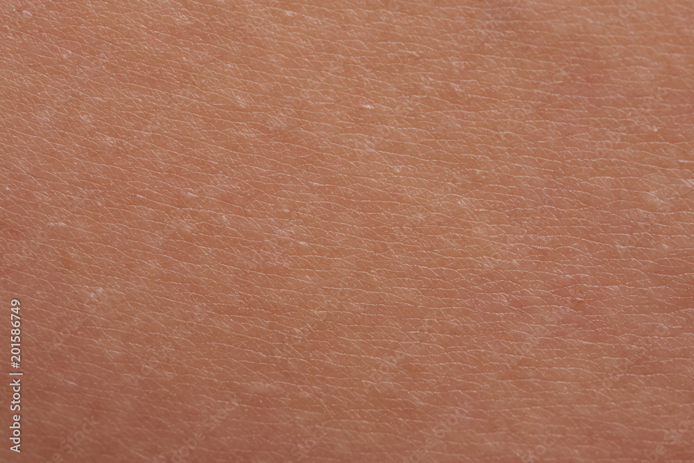 Brown human skin texture background Brown human skin texture background
