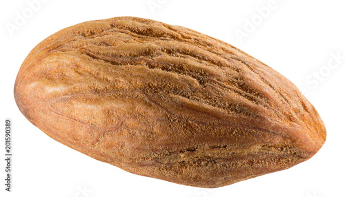 almond isolated on a white background