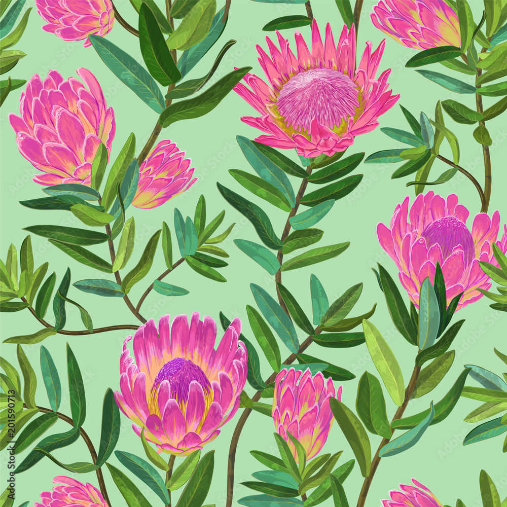 Floral Seamless Pattern with Hand Drawn Protea Flowers. Botanical Decorative Background for Fabric, Wrapping Paper, Wallpaper, Textile. Vector illustration