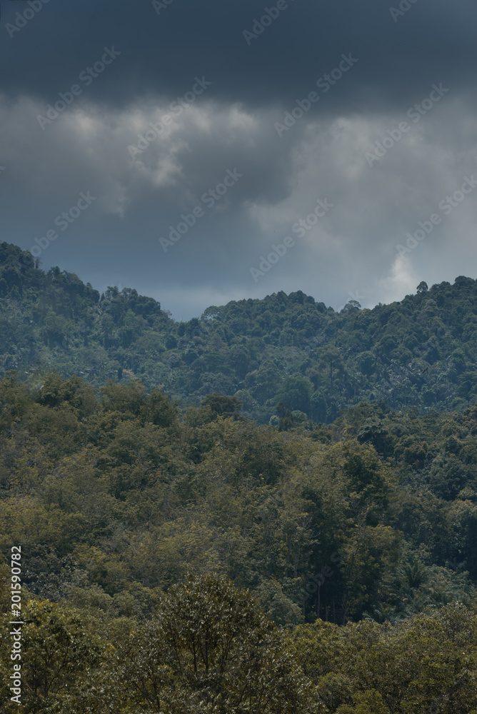 peak of a mountain in front of the forest's trees foreground and on the background of dark thick rainy clouds. Some images may have under or overexpose effect.