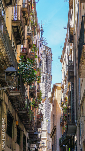 Barcelona Cathedral framed by apartments on a street in Barcelona © Hamish