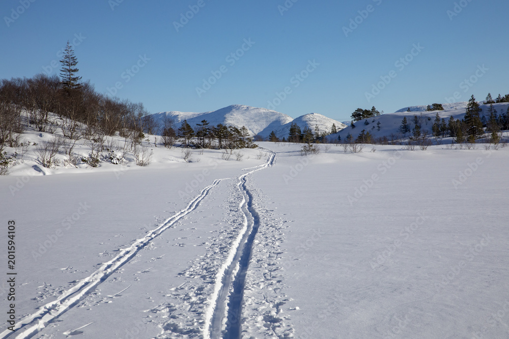 Ski trip in Northern Norway
