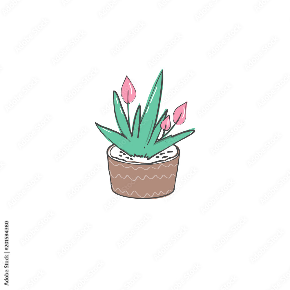 Plants in a pot clip art, illustration, drawing on white background Plants in a pot clip art, illustration, drawing on white background