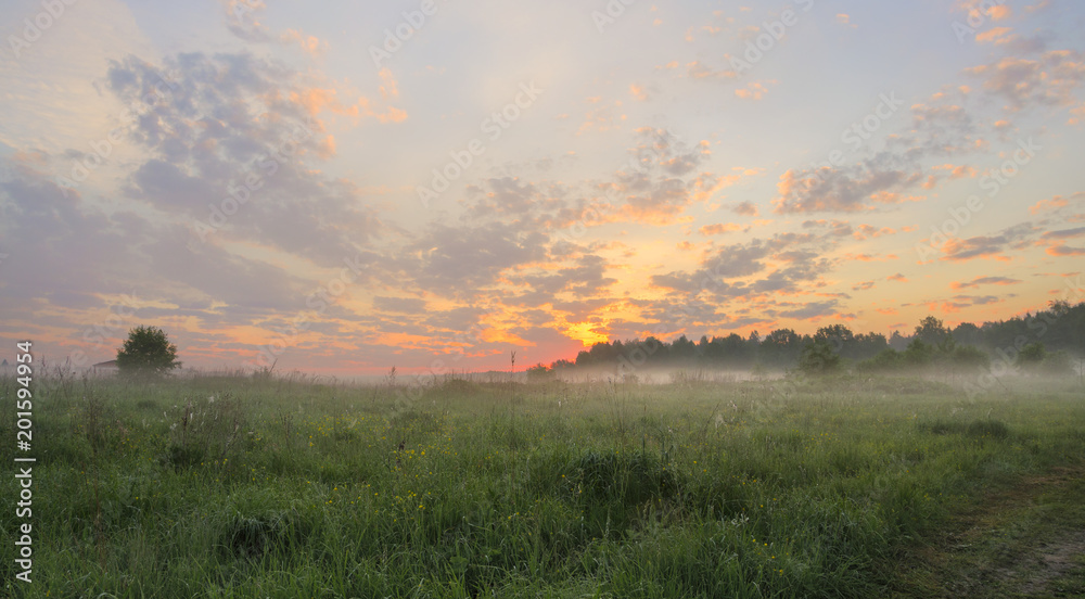 Foggy meadow on a background of colorful sunset sky.