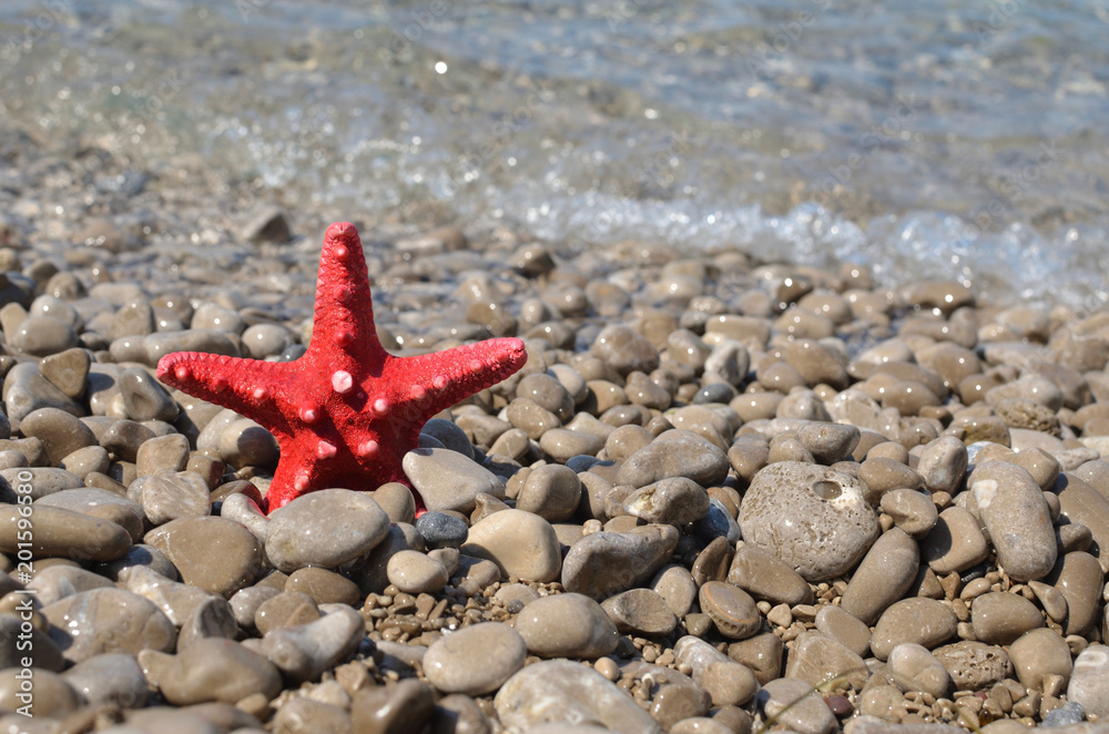Red sea star on a sea shore covered with pebbles Red sea star on a sea shore covered with pebbles