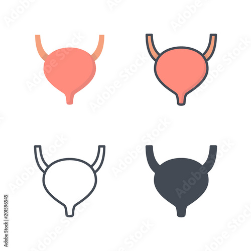 Bladder human organs medicine medical flat colored silhouette line icon vector
