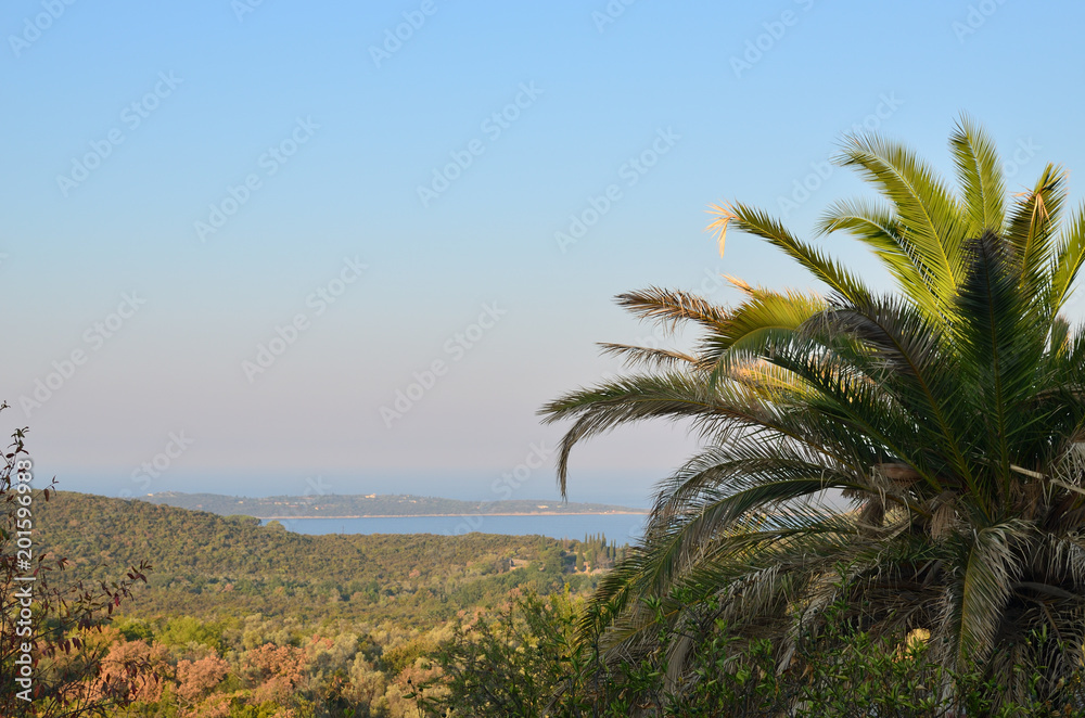 Part of a palm tree top with shoreline and a seascape