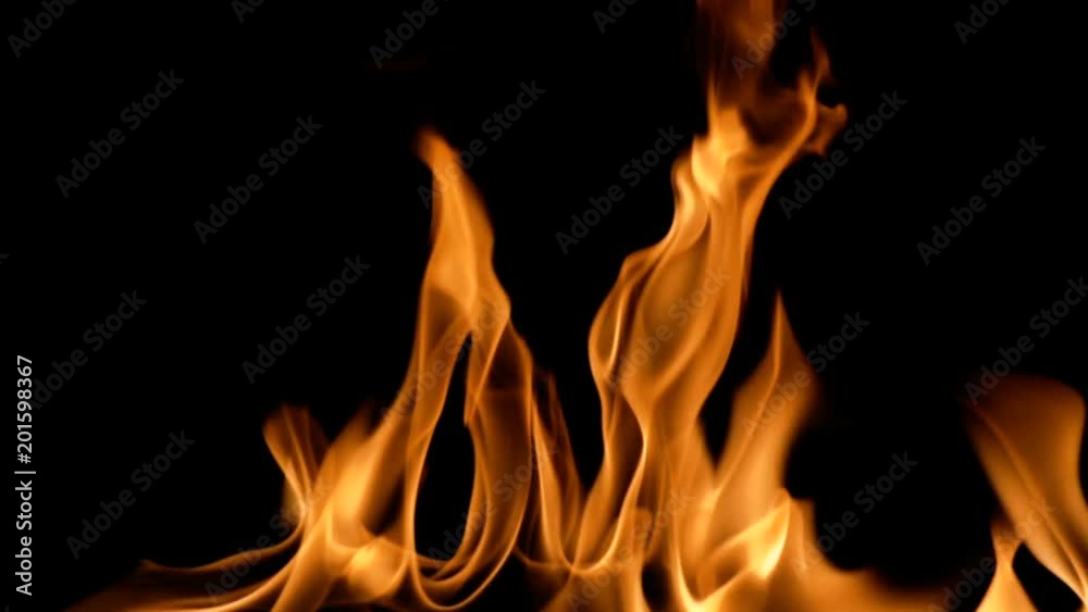 Slow movement of clean fire, igniting and burning. On a black background, a line of real flames is lit. Real shots. Slow movement of clean fire, igniting and burning. On a black background, a line of real flames is lit. Real shots.