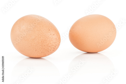 Brown chicken eggs isolated on white background two domestic.