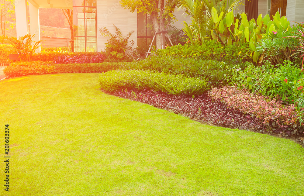 Obraz premium Modern house with beautiful landscaped front yard, Lawn and garden, Green lawn, The front lawn for background, Garden landscape design