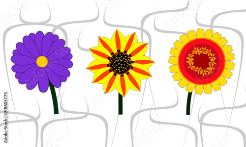 Flowers