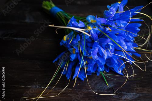 Fototapeta Naklejka Na Ścianę i Meble -  Beautiful blue iris flowers in a bouquet