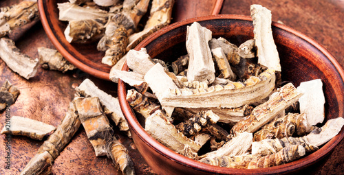 Canvas Print Acorus calamus root
