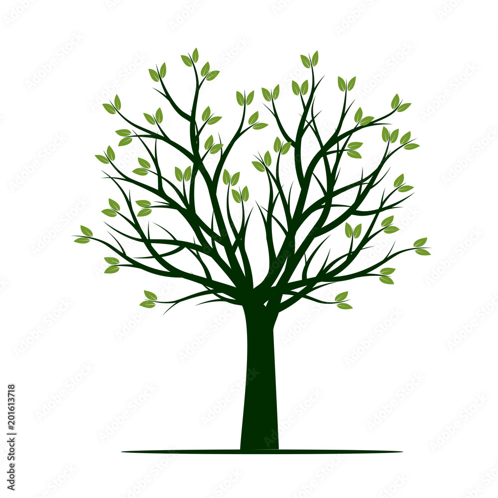 Green spring Tree. Vector Illustration. Green spring Tree. Vector Illustration.