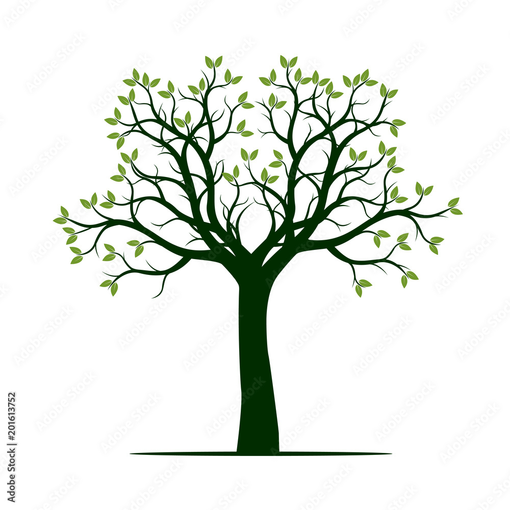 Green spring Tree. Vector Illustration. Green spring Tree. Vector Illustration.