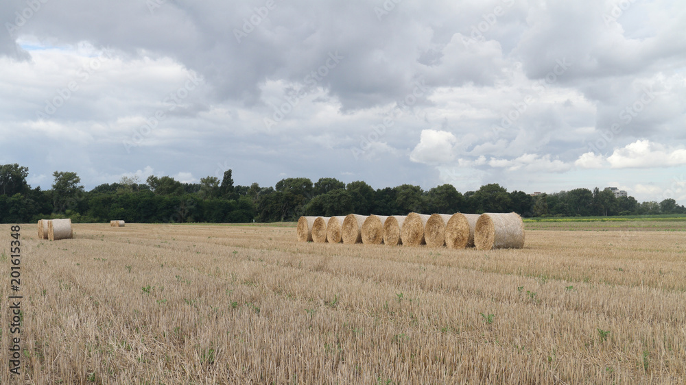 Fototapeta premium Stroh-Ballen auf dem Feld