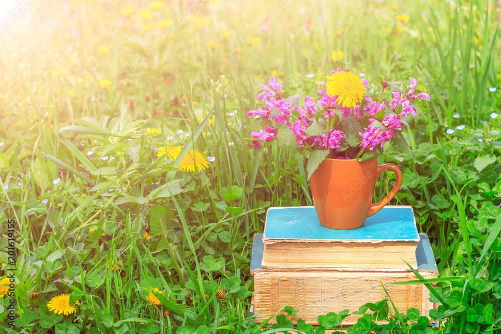 a ceramic cup with flowering plants on a pile of old books on a clearing with a green clover in a warm spring or summer sunny morning
