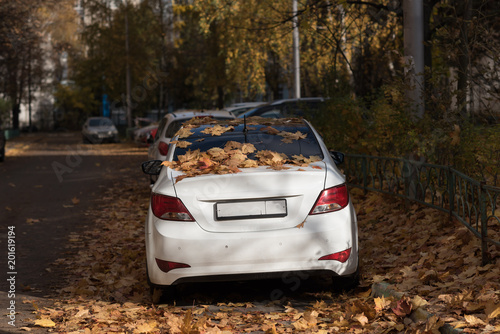 autumn yellow leaves on the hood and windshield of the car photo