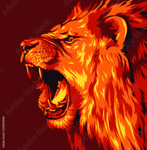Lion's Head