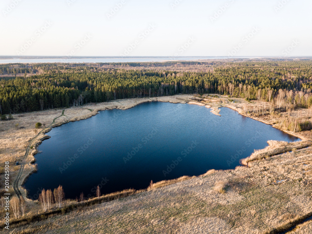 drone image. aerial view of rural area with swamps, lakes and forests