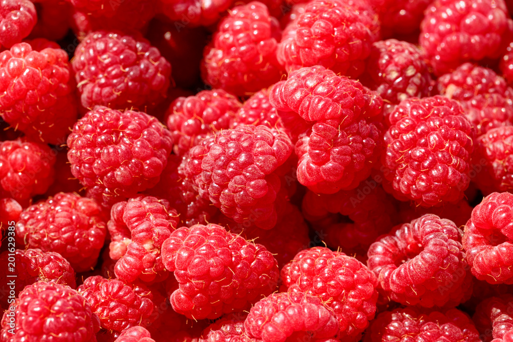 fresh fruits raspberry close up.
